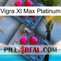 Vigra Xl Max Platinum 14